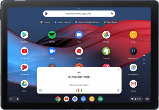 Google Pixel Slate 12.3"